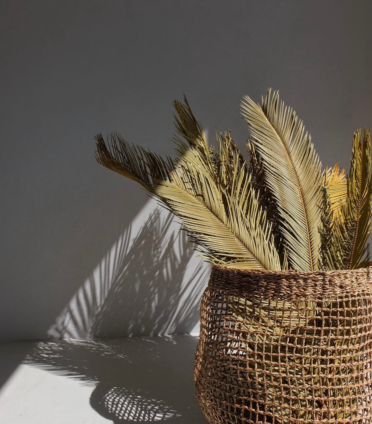 Japanese palms