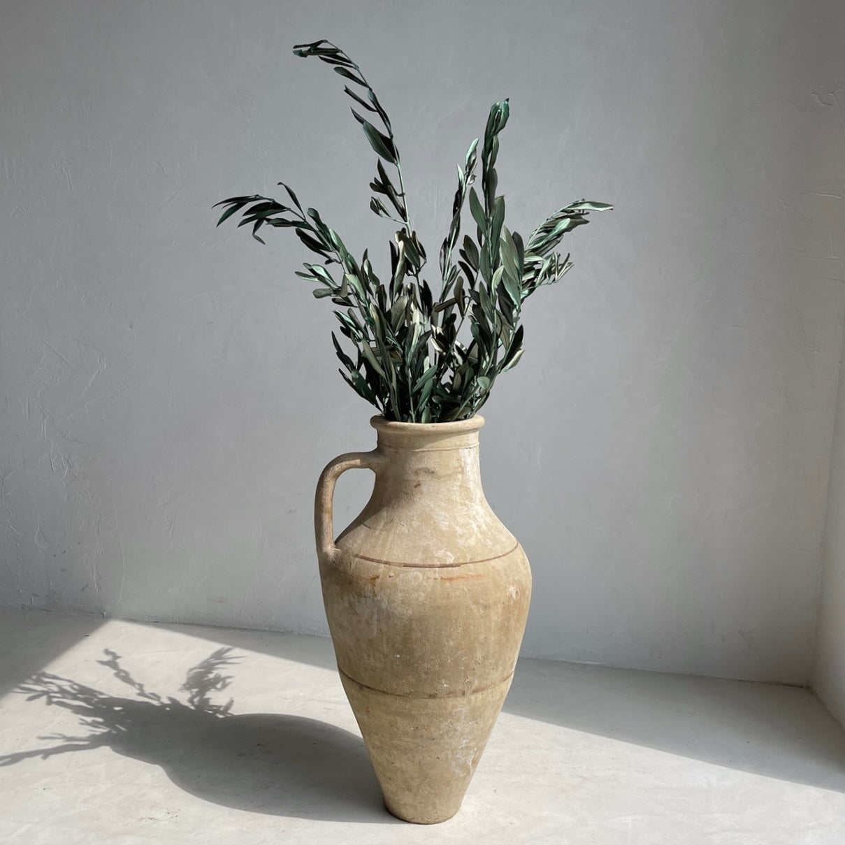 Preserved olive branches