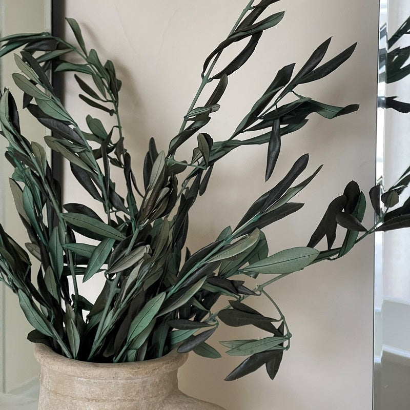 Preserved olive branches