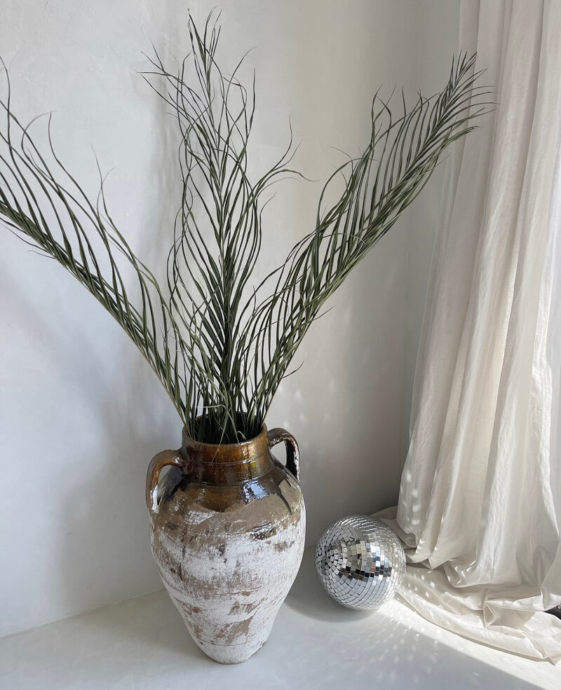 Sri Lankan palms